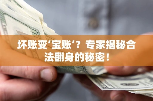 武汉坏账变‘宝账’?专家揭秘合法翻身的秘密! 武汉坏账变‘宝账’?专家揭秘合法翻身的秘密!